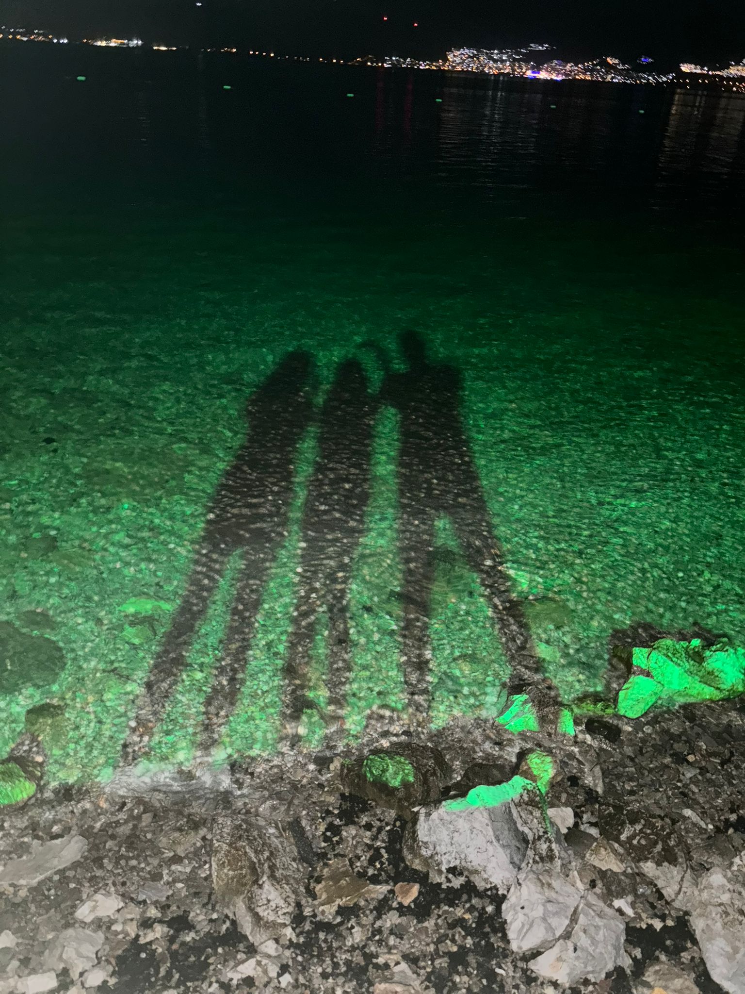 Three shadows reflected across illuminated seaside water at night